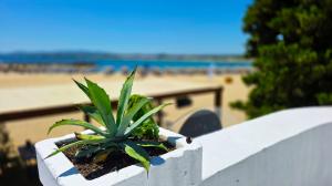 Sea View Terrace