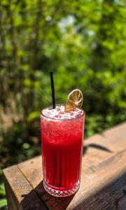 Top Cocktails